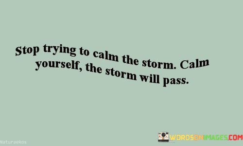 Stop-Trying-To-Calm-The-Strom-Calm-Yourself-Quotes.jpeg