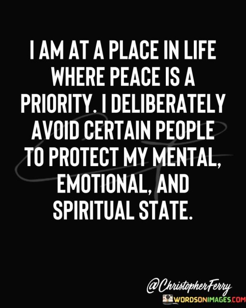 I Am At A Place In Life Where Peace Is A Piriority Quotes