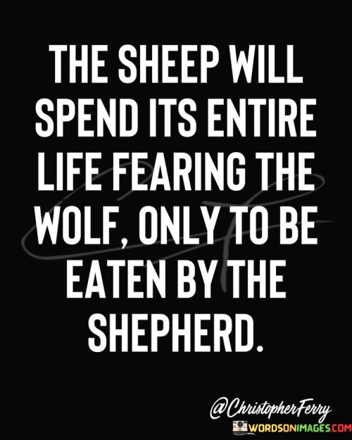 The Sheep Will Spend Its Entire Life Fearing Quotes