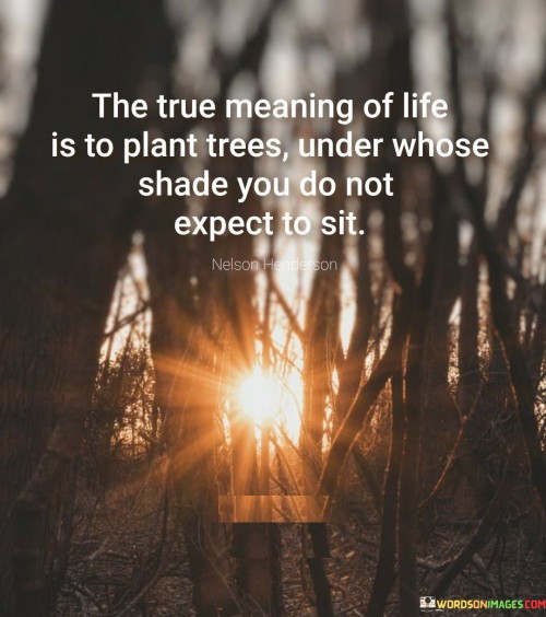 The True Meaning Of Life Is To Plant Trees Under Whose Shade You Do Not Expect To Sit Quotes