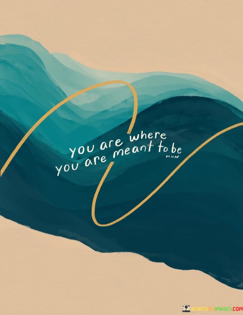 you are where you are meant to be