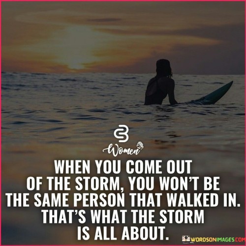 When You Come Out Of The Storm You Won't Be The Same Quotes