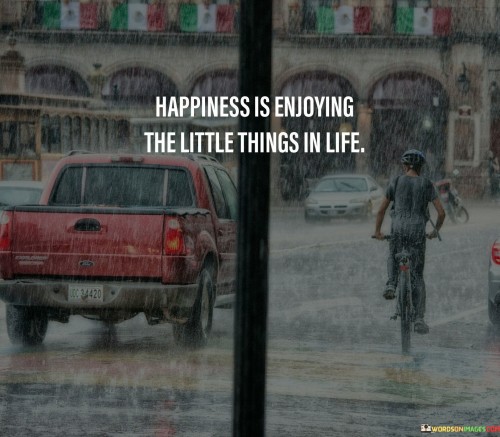 Happiness-Is-Enjoying-The-Little-Things-In-Life-Quotes.jpeg