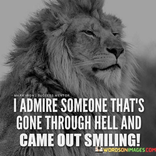 I Admire Someone That's Gone Through Hell And Came Out Quotes