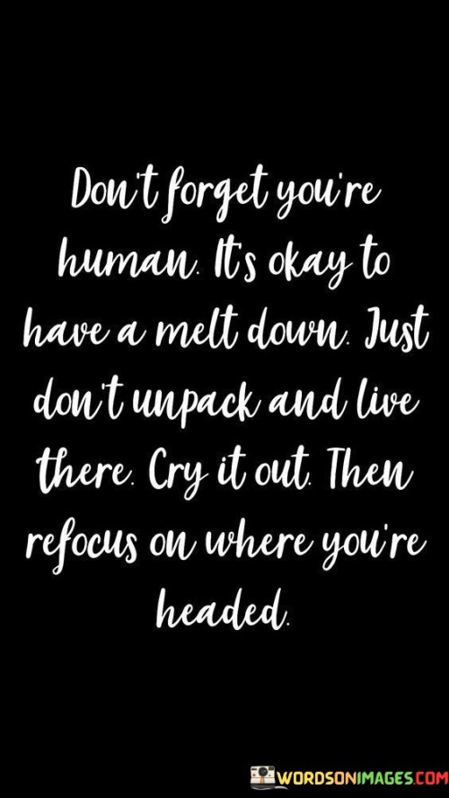 Don't Forget You're Human It's Okay To Have A Melt Down Quotes