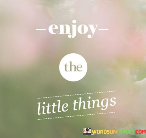 Enjoy-The-Little-Things-Quotes.jpeg