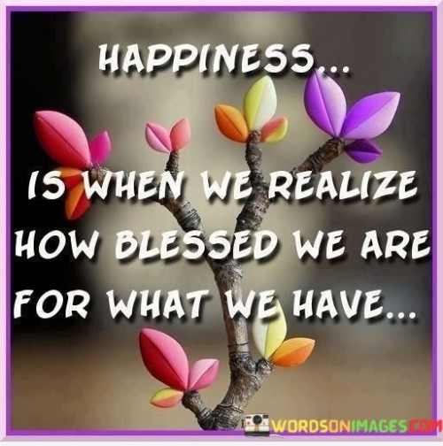 Happiness Is When We Realize How Blessed Quotes