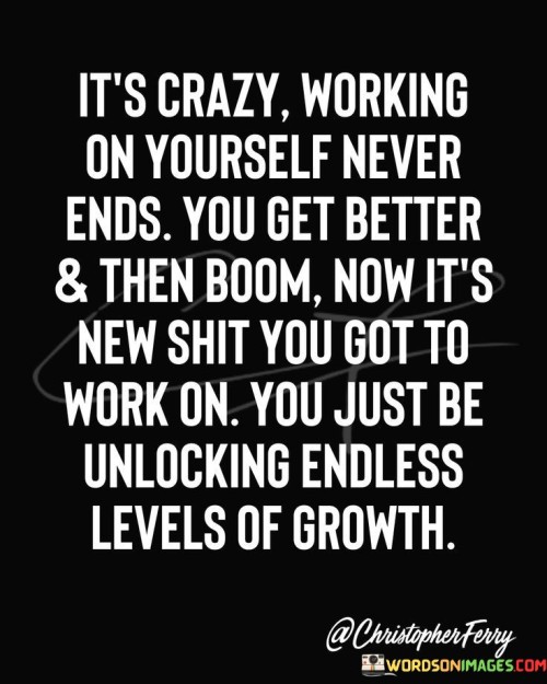 Its Crazy Working On Yourself Never Quotes