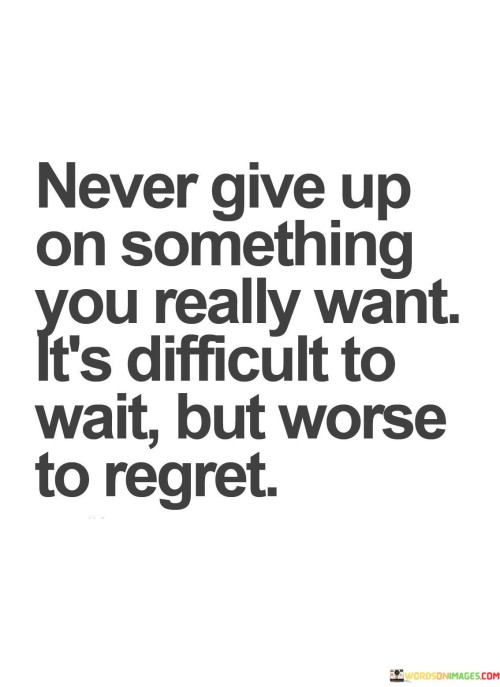 Never Give Up On Something You Really Want It's Difficult Quotes