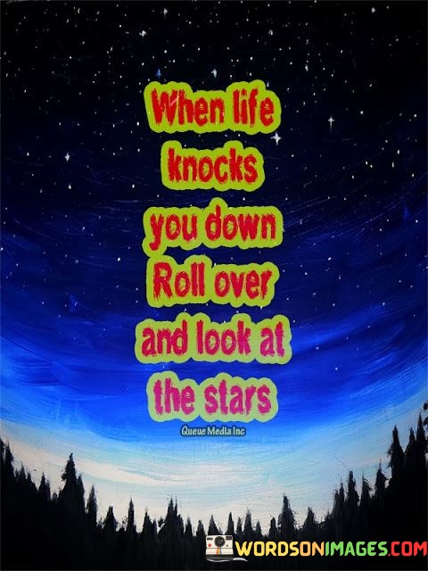 When Life Knocks You Down Roll Over And Look At The Stars Quotes
