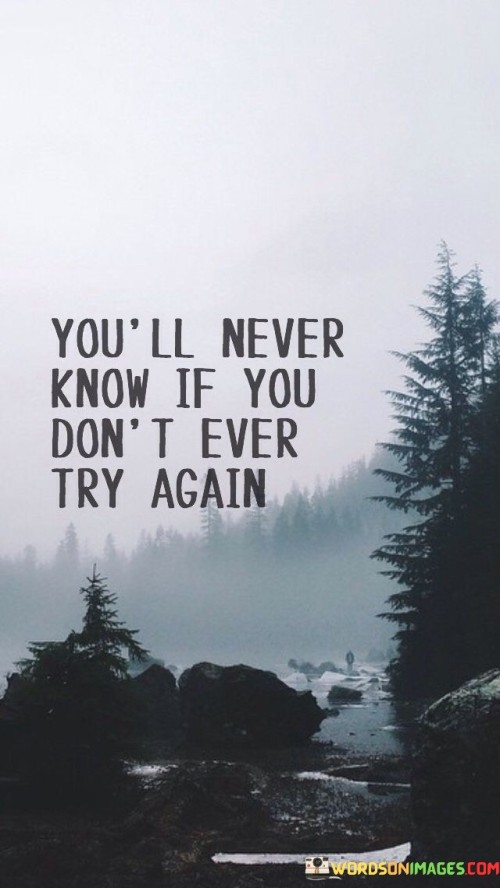 You'll Never Know If You Don't Ever Try Again Quotes