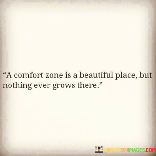 A-Comfort-Zone-Is-A-Beautiful-Place-But-Nothing-Ever-Quotes-Quotes.jpeg