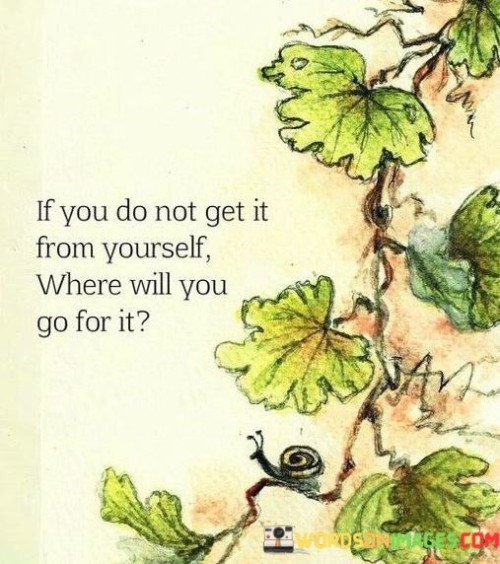 If You Do Not Get It From Yourself Where Will You Go For It Quotes