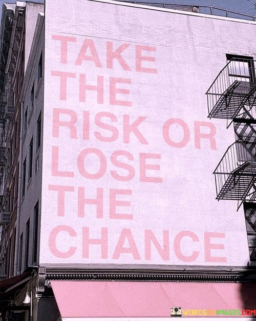 Take The Risk Or Lose The Chance Quotes