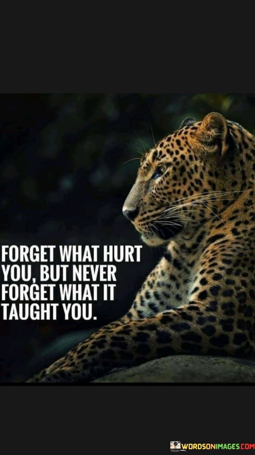 Forget What Hurt You But Never Forget What It Taught You Quotes