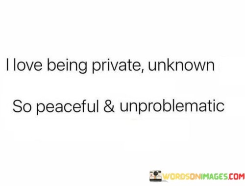 I Love Being Private Unknown So Peaceful Quotes