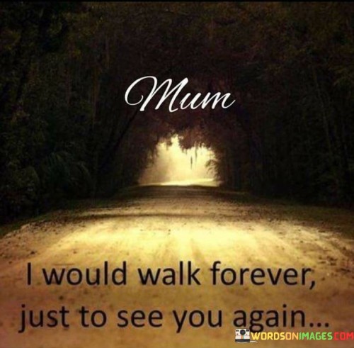 Mum I Would Walk Forever Just To See You Again Quotes