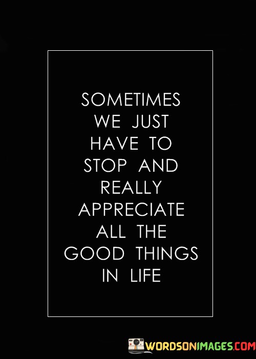 Sometimes We Just Have To Stop And Really Appreciate All The Good Things In Life Quotes