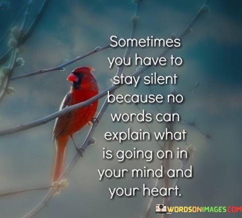 Sometimes You Have To Stay Silent Because No Words Can Explain What Is Going On Quotes