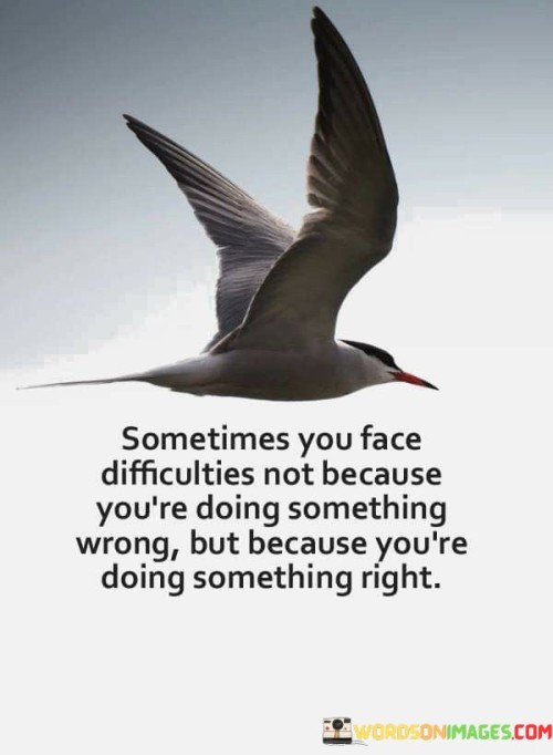 Somtimes You Face Difficulties Not Because You're Doing Something Wrong Quotes