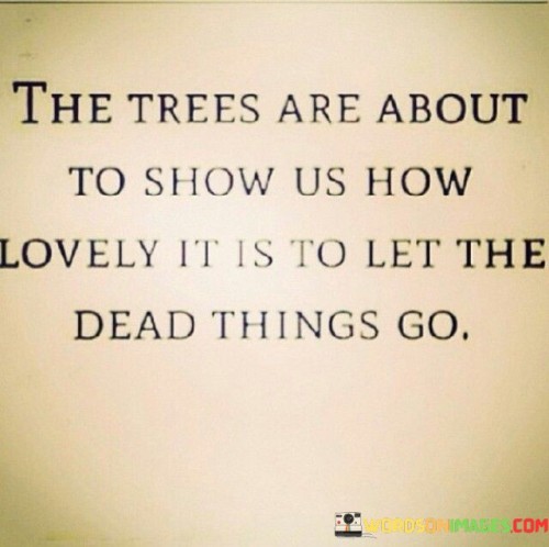 The Trees Are About To Show Us How Lovely It Is To Let Quotes