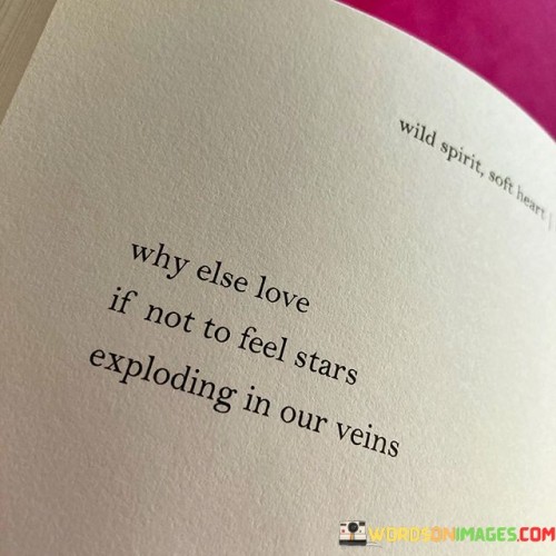 Why-Else-Love-If-Not-To-Feel-Stars-Exploding-Quotes.jpeg