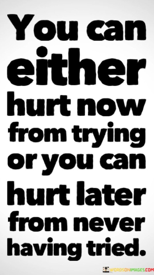 You Can Either Hurt Now From Trying Or You Can Hurt Later Quotes