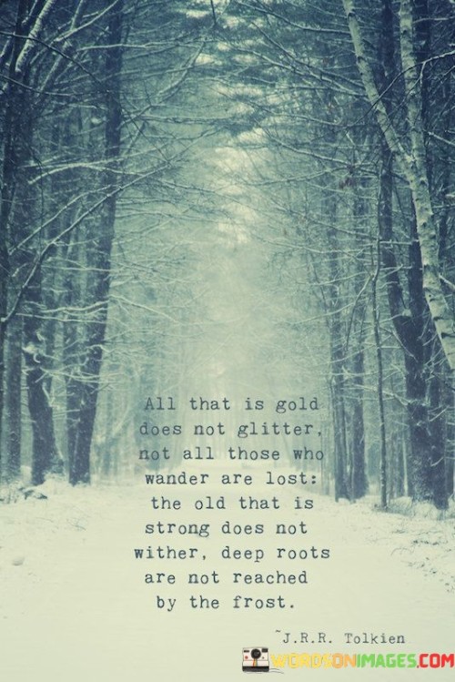 All That Is Gold Does Not Glitter Not All Those Who Wander Quotes