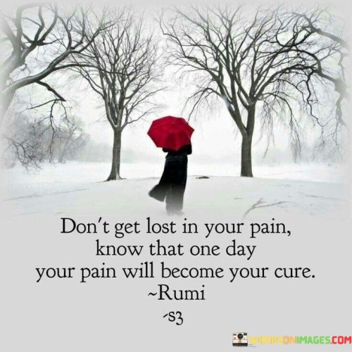 Dont-Get-Lost-In-Your-Pain-Know-That-One-Day-Your-Pain-Quotes.jpeg