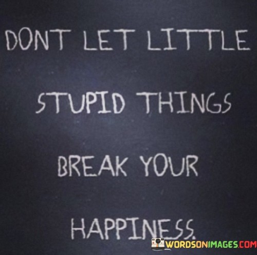 Dont Let Little Stupid Things Break Our Happiness Quotes