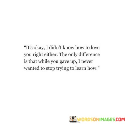 It's Okay I Didn't Know How To Love You Right Either The Only Quotes