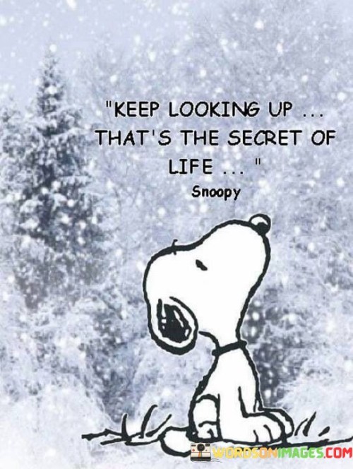 Keep Looking Up That's The Secret Of Life Quotes