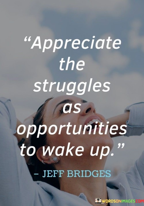 Appreciate The Struggles As Opportunities To Wake Up Quotes