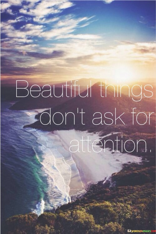 Beautiful Things Don't Ask For Attention Quotes