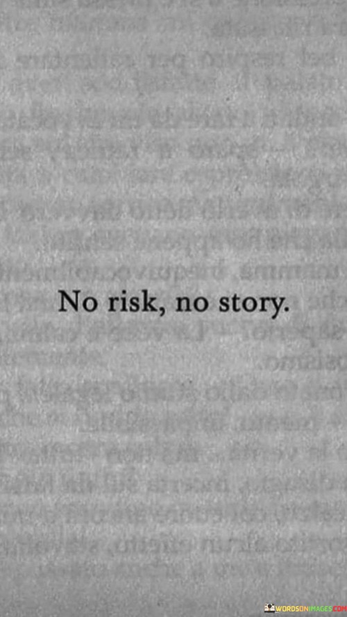 No Risk No Story Quotes