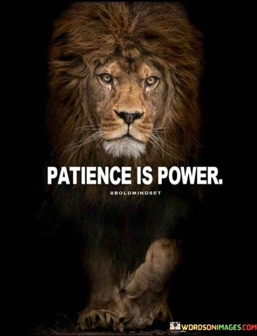 Patience Is Power Quotes