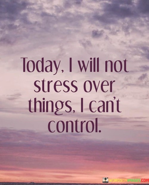 Today I Will Not Stress Over Things I Can't Control Quotes