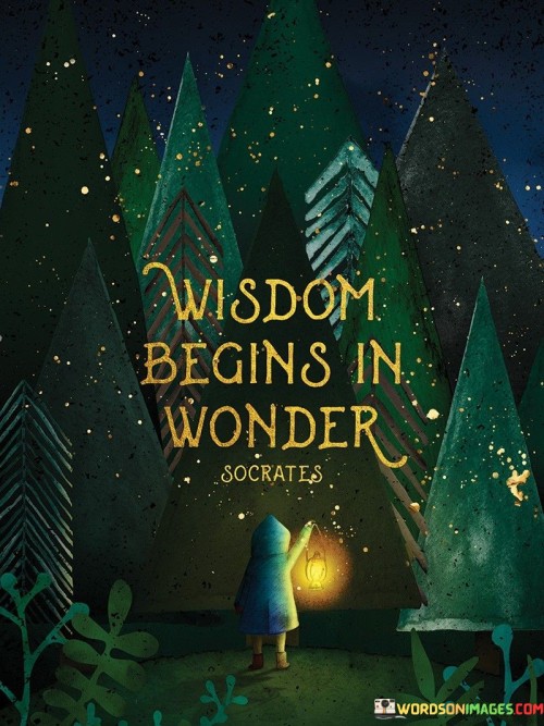 Wisdom Begins In Wonder Quotes