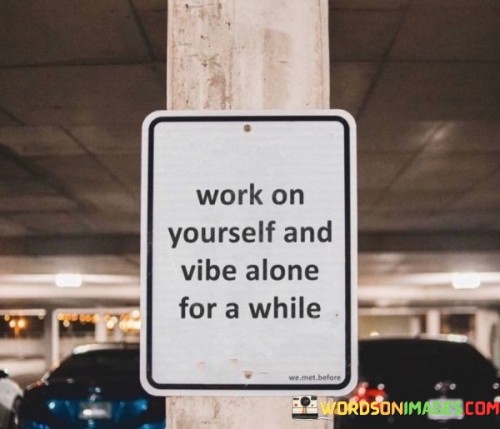 Work On Yourself And Vibe Alone For A While Quotes