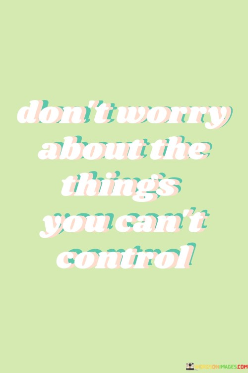 Don't Worry About The Things You Can't Control Quotes