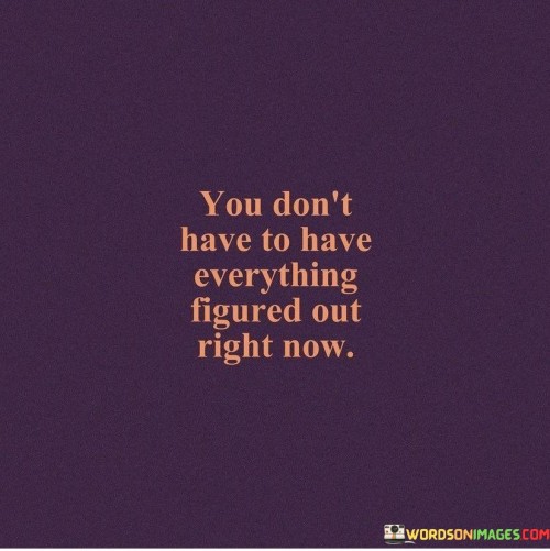 You Don't Have To Have Everything Figured Out Right Now Quotes