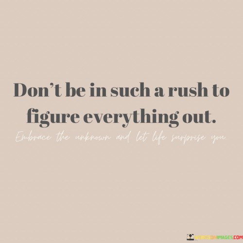 Don't Be In Such A Rush To Figure Everything Out Quotes