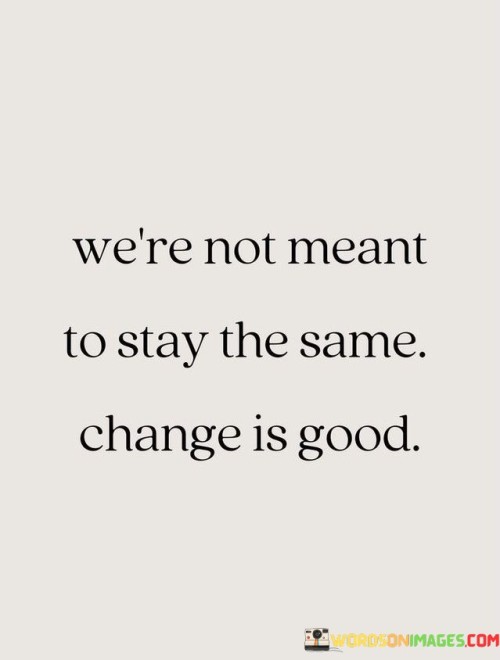 We're Not Meant To Stay The Same Quotes