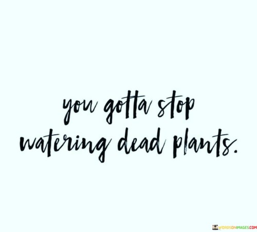 You Gotta Stop Watering Dead Plants Quotes