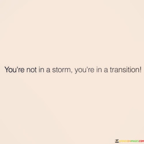 You 're Not In A Storm You're In A Transition Quotes