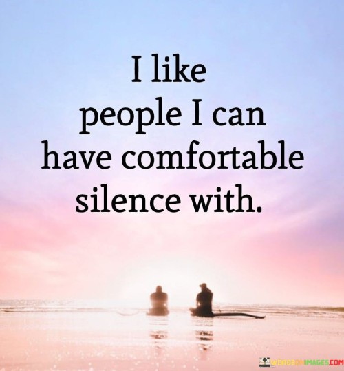 I Like People I Can Have Comfortable Silence Quotes