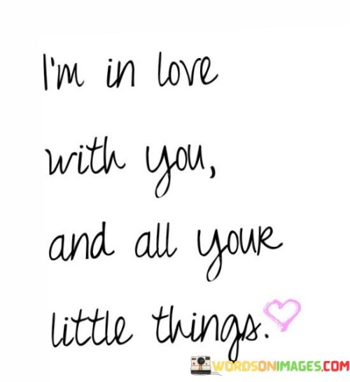 I'm In Love With You And All Your Little Things Quotes