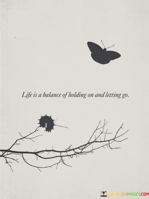 Life Is A Balance Of Holding On And Letting Go Quotes