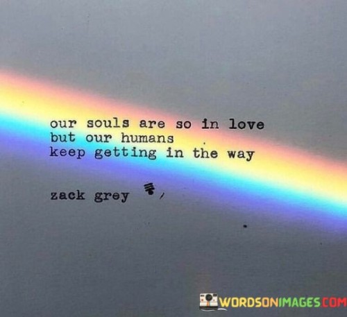 Our Souls Are So In Love But Our Humans Quotes