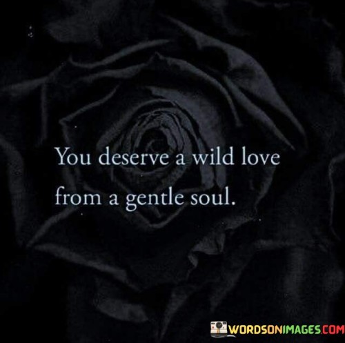 You-Deserve-A-Wild-Love-From-A-Gentle-Soul-Quotes.jpeg